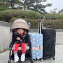 2024-0205-0142 | 오키나와여행 1일차) 인천공항 나하공항 / 마리오렌트카 / 만좌모 / 쿄다휴게소 / 캐리콘도츄라우미...