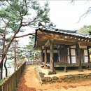 대숲향기 이미지