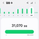 센트럴마트