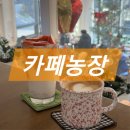 배치농장 | 울산 카페농장 솔직 후기｜농산물과 전통장이 있는 이색 카페