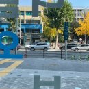 킹덤공인중개사사무소 이미지