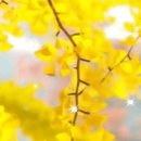 무료 이미지 - Pixabay 이미지