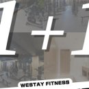 공스테이 이미지