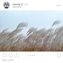 중앙한복 이미지