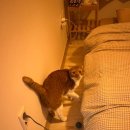 (주)순간이동 이미지