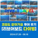 중부-현장-중부-2026 | 2024 코모도 같이가요 1-3차 투어 후기 [리브어보드 다이빙]편