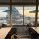 터틀온더웨이브