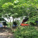 스톤엑스 캠핑장 이미지