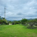 마당드림공인중개사사무소 이미지