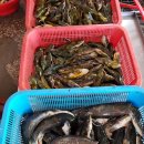 괴산매운탕 이미지