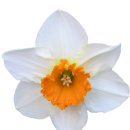 가을환경 이미지