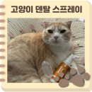 캣플라워 | 고양이덴탈스프레이 캣디피 텐스 스프레이 플라워핑거칫솔 사용 후기