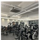 파리스짐 | 파주 운정헬스장 운정PT 파리스짐, 나만 알고 싶은 진짜 후기