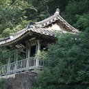 근재집 책판 이미지