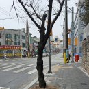 장곡중학교 티스토리