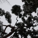 광진구청 이미지