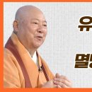 유리태자와 석가족이 멸망한 이유 [활안스님의 교단사 14회] 이미지