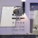 퍼피케어 이미지