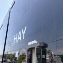 HAY(헤이), MLTO(매지컬리빙투데이) - 부산 수입가구 쇼룸 방문후기