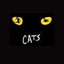 가족뮤지컬 어린이캣츠 이미지