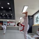 고려인성태권도 이미지