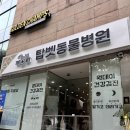 탑 동물병원 | [공지] 24시 서초동물병원 | 탑벳동물병원 3살 강아지 첫 건강검진 후기