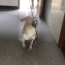 상부상조 Daum카페