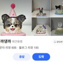 댕까댕까 이미지