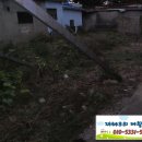 남구-54 네이버블로그
