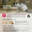 동수동물병원 이미지