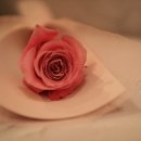플로라벨로