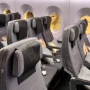 스카이팀 | SAS항공 코펜하겐 직항 SK988 탑승후기 / 스카이팀 마일리지 적립 가능 / 대한항공 모닝캄 스카이팀...