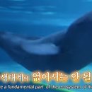 이영란농장 이미지