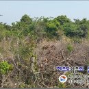 성읍리-4 이미지