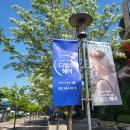 은빛여우미용실 이미지