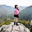 11월7일(금)장태산 메타스퀘어길&amp;용담호 (여행&amp;낭만스토리) 이미지