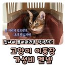 고양이 이동장 푸르미 켄넬 케이지 가성비 내돈내산 후기