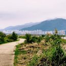 낙동강변1 이미지