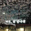 백석, 흰 당나귀