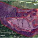 광야부동산공인중개사사무소 이미지