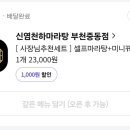 신염천하 이미지