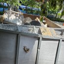 용진철강 이미지