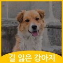 철원동물병원 이미지