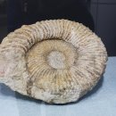 문경석탄박물관 이미지