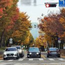 강서구-68 이미지