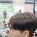 서대신역 | 서대신역 미용실 남자염색+컷