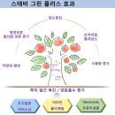 (주)농자재플러스