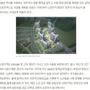 연말 폐역 앞둔 경주역 ‘100년 역사’, 신경주역이 잇는다 이미지