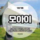 수목원 입구 | [가평] 대형카페 |모아이카페| 아침고요수목원입구 넓은정원 애견동반 주차 후기