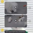 하이도기 이미지